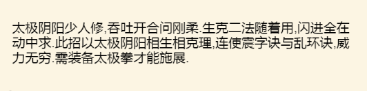 《暴走英雄坛》太极武学大全