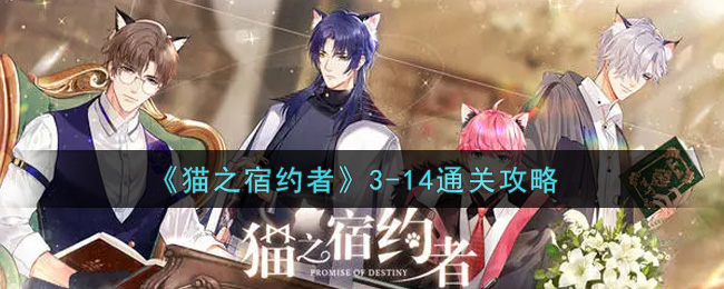 《猫之宿约者》3-14通关攻略