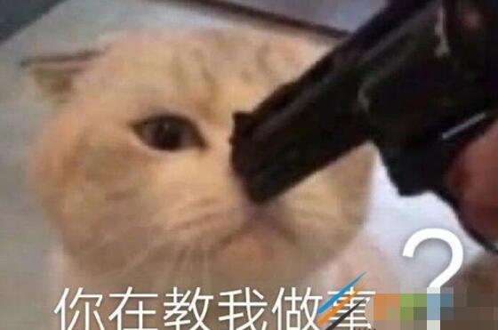 QQ截图20210930145412.jpg