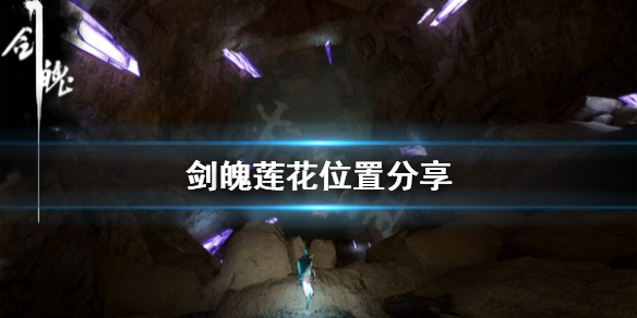 《剑魄》莲花放在哪？莲花位置分享