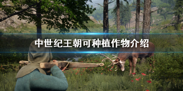 《中世纪王朝》农作物有哪些？可种植作物介绍
