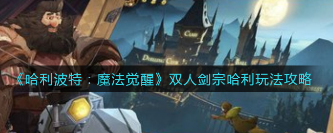 《哈利波特：魔法觉醒》双人剑宗哈利玩法攻略
