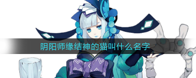 阴阳师缘结神的猫叫什么名字