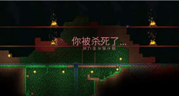 《泰拉瑞亚》专家模式新增物品介绍