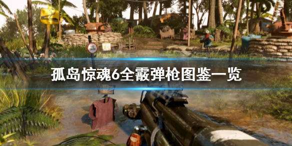 《孤岛惊魂6》喷子有哪些 全霰弹枪图鉴一览
