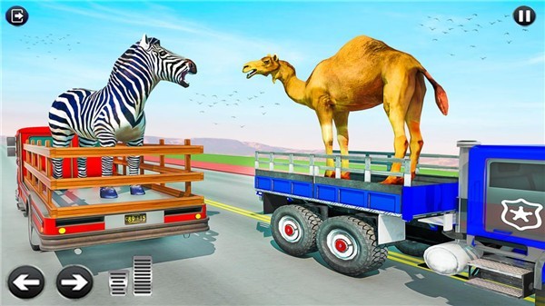 动物园动物运输