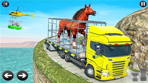 动物园动物运输