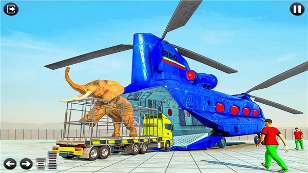 动物园动物运输