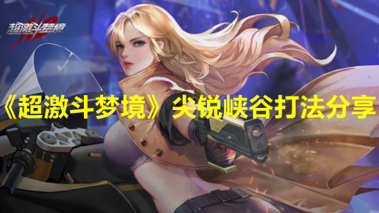 《超激斗梦境》尖锐峡谷打法分享