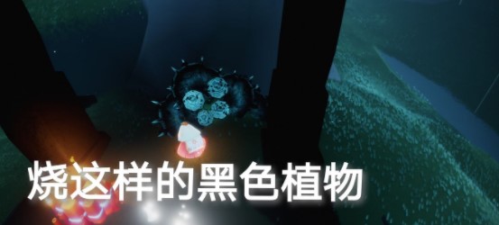 《光遇》10月8日每日任务流程攻略分享