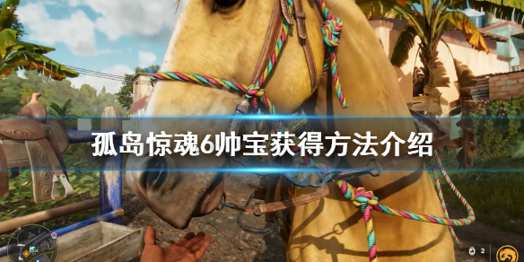《孤岛惊魂6》帅宝怎么获得？帅宝获得方法介绍