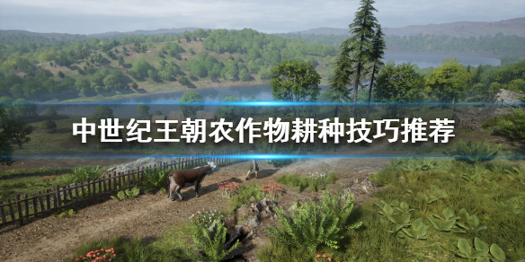 《中世纪王朝》怎么耕种？农作物耕种技巧推荐