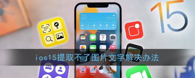 ios15提取不了图片文字解决办法