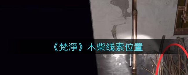 《孙美琪疑案：梵淨》五级线索——木柴