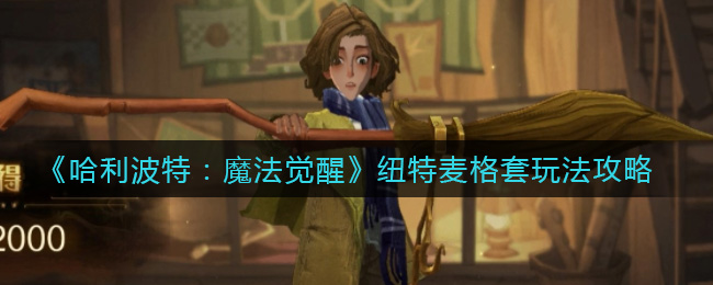 《哈利波特：魔法觉醒》纽特麦格套玩法攻略