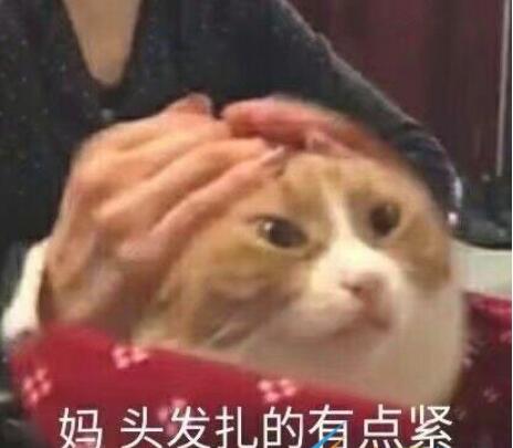 QQ截图20211011104147.jpg