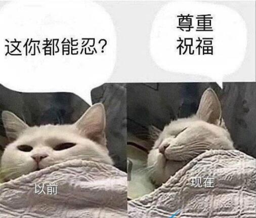 QQ截图20211012110852.jpg