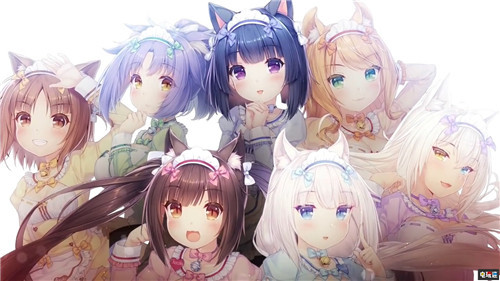 猫娘乐园  V