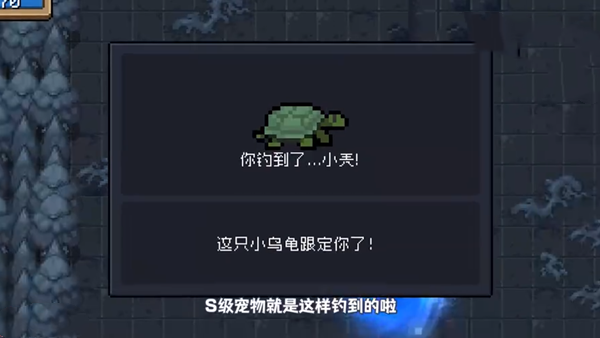 《元气骑士》乌龟宠物获取方法
