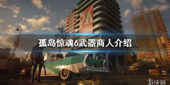 《孤岛惊魂6》武器商人在哪？武器商人介绍