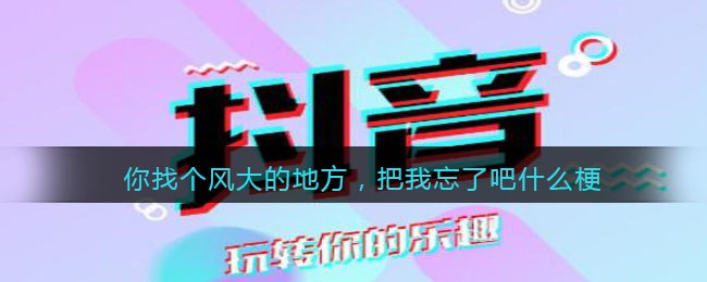 你找个风大的地方把我忘了吧什么梗