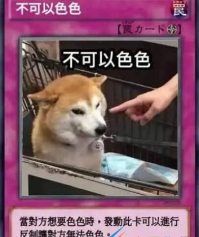 柴犬色色卡是什么梗