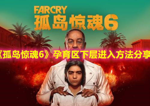 《孤岛惊魂6》孕育区下层进入方法分享
