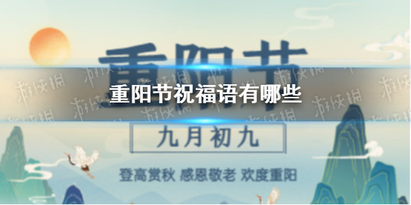 584_31a8a9f6-6fee-6a5b-4ea8-357b0f98d527.jpg