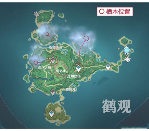 《原神》雾海与树之祭能量位置汇总