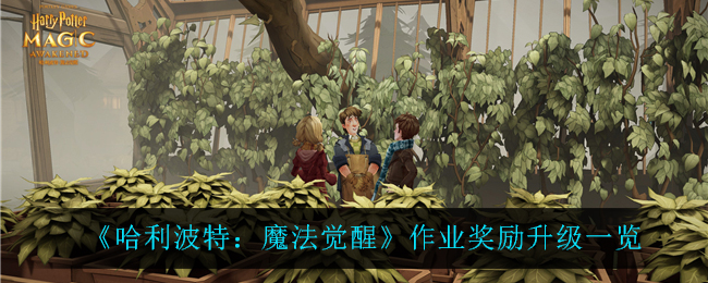 《哈利波特：魔法觉醒》作业奖励升级一览