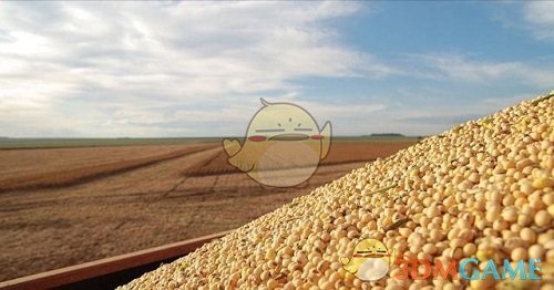 哪个省是我国大豆主产区，大豆面积和产量占全国一半左右