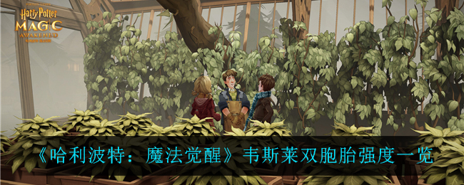 《哈利波特：魔法觉醒》韦斯莱双胞胎强度一览