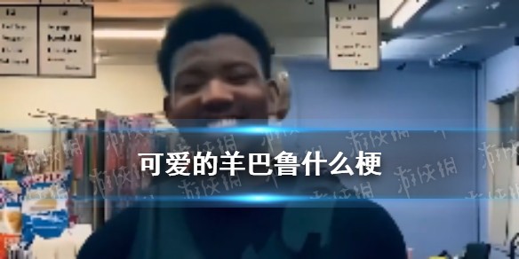 可爱的羊巴鲁什么梗