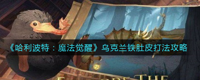 《哈利波特：魔法觉醒》乌克兰铁肚皮打法攻略