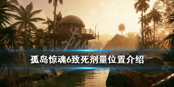 《孤岛惊魂6》独特武器致死剂量怎么获得？致死剂量位置介绍
