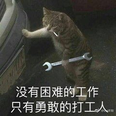 求求你们上会班吧是什么梗