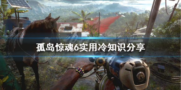 《孤岛惊魂6》有什么冷知识？游戏实用冷知识分享