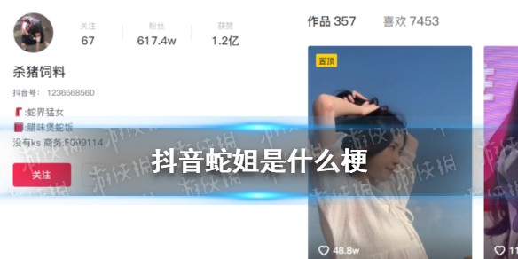 抖音蛇姐什么梗