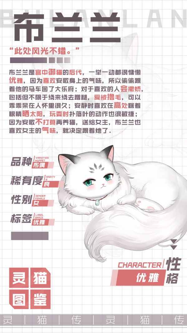 《灵猫传》布兰兰获取方法