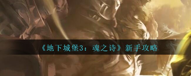 《地下城堡3：魂之诗》新手攻略