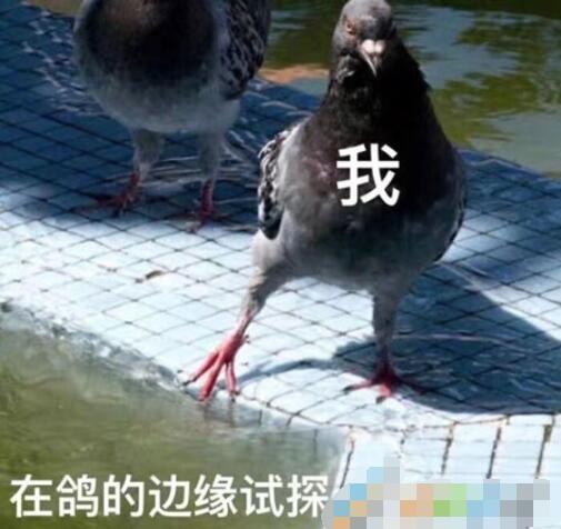 QQ截图20211025143924.jpg