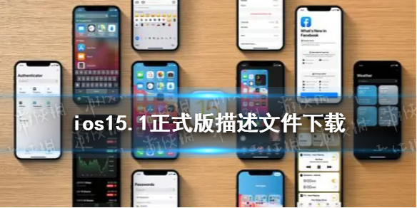 584_c5fb98aa-5d20-4974-3553-c40107b95f29.jpg