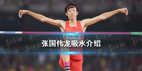 张国伟龙吸水是什么梗