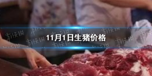 11.1猪肉价格一览表