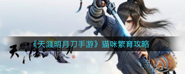 《天涯明月刀手游》猫咪繁育攻略