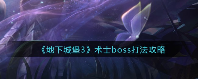 《地下城堡3：魂之诗》术士boss打法攻略