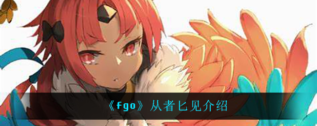 《fgo》从者匕见介绍