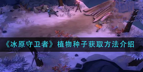 《冰原守卫者》植物种子怎么获得