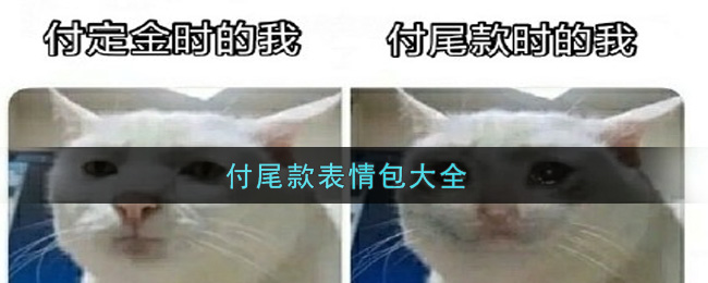 付尾款表情包大全