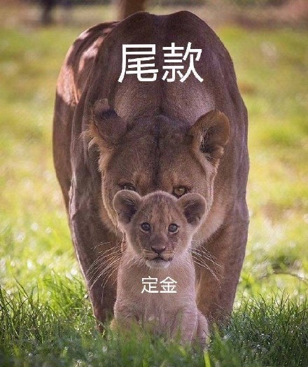 付尾款表情包大全